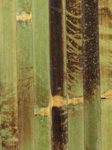 Bambusz külső héjából készült faldekor